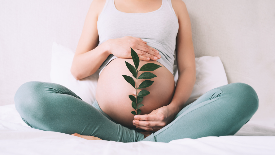 LA COSMESI IN GRAVIDANZA